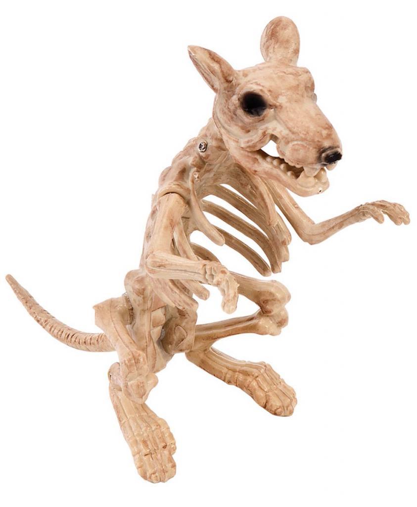 Zombie Rat Halloween Decoration Skeleton 23cm ref: 6324 and available here at Karnival Costumes online Halloween party shop