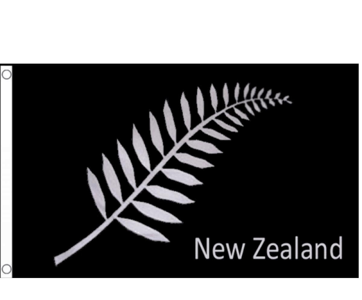 New Zealand National Flag with Fern Leaf 3ft x 2ft NZEA301 available here at Karnival Costumes online party shop