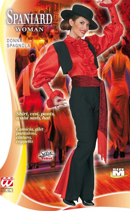 Spanish Flamenco Dancer Fancy Dress Costume