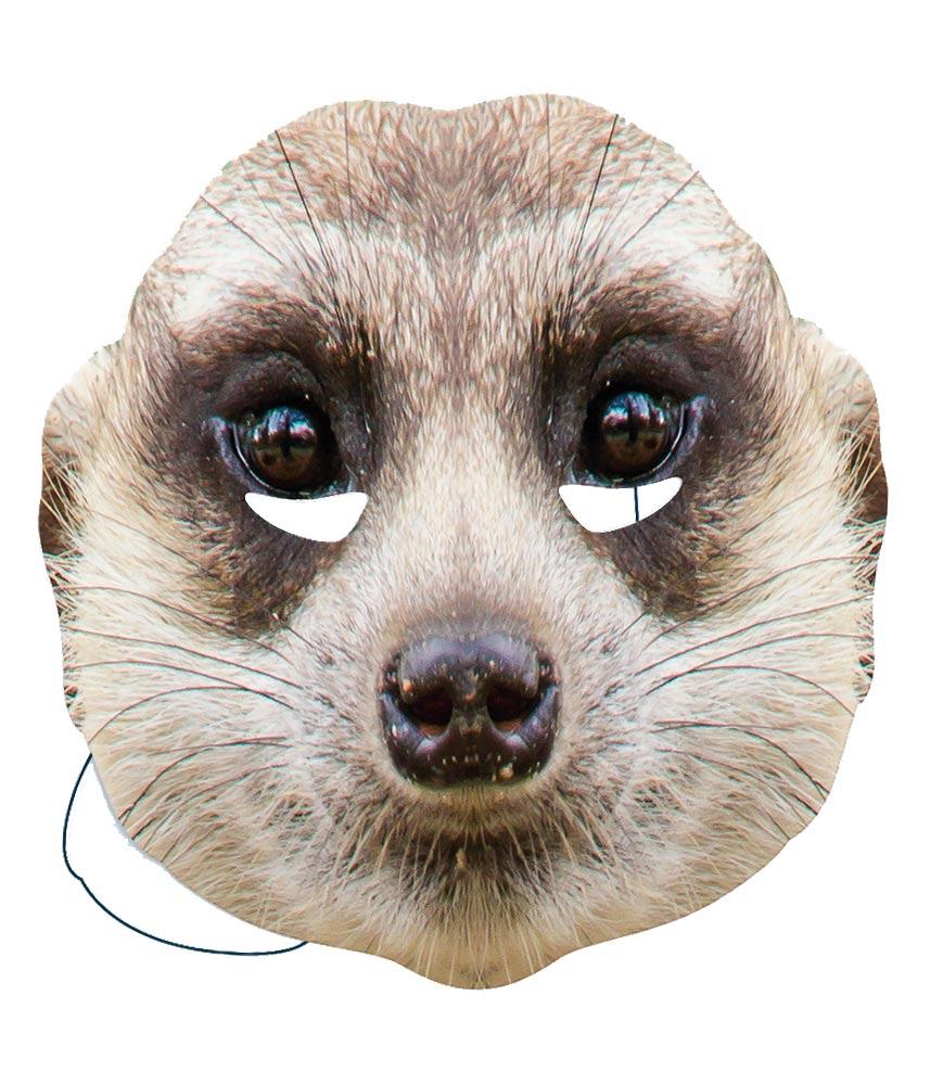 meerkat face mask