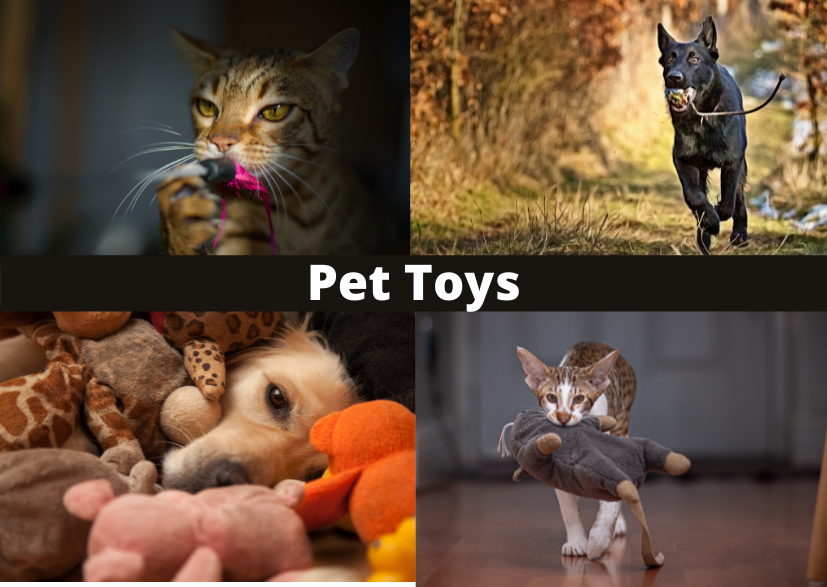 Home, Mad Dogs & Crazy Cats: Pet Boutique