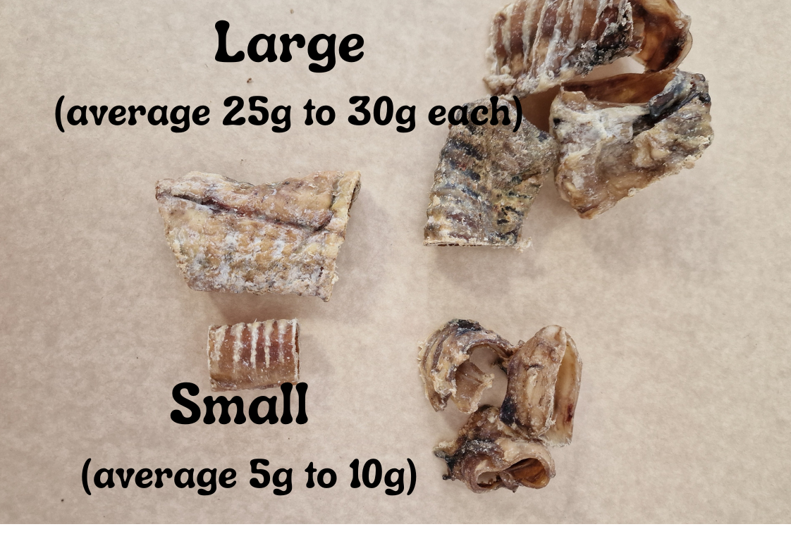 untitled-95-x-65-mm.png