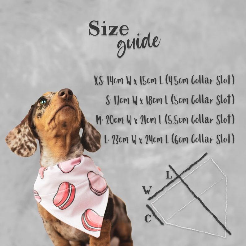 size-guide.jpg