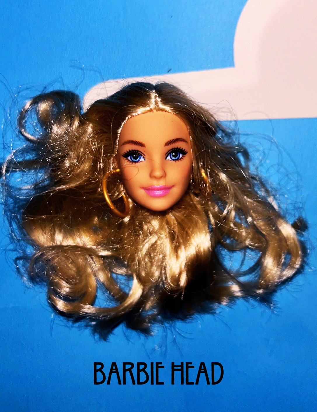 Barbie Head