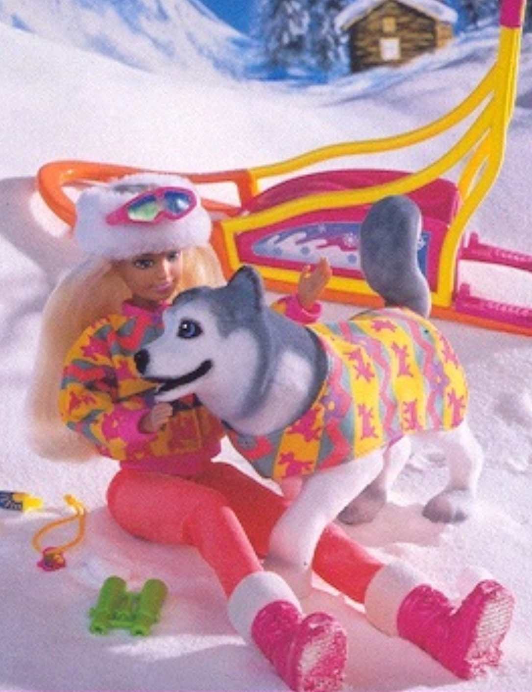 Sindy dog outlet