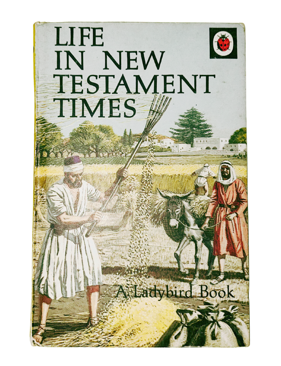 Ladybird Book Life in New Testament Times