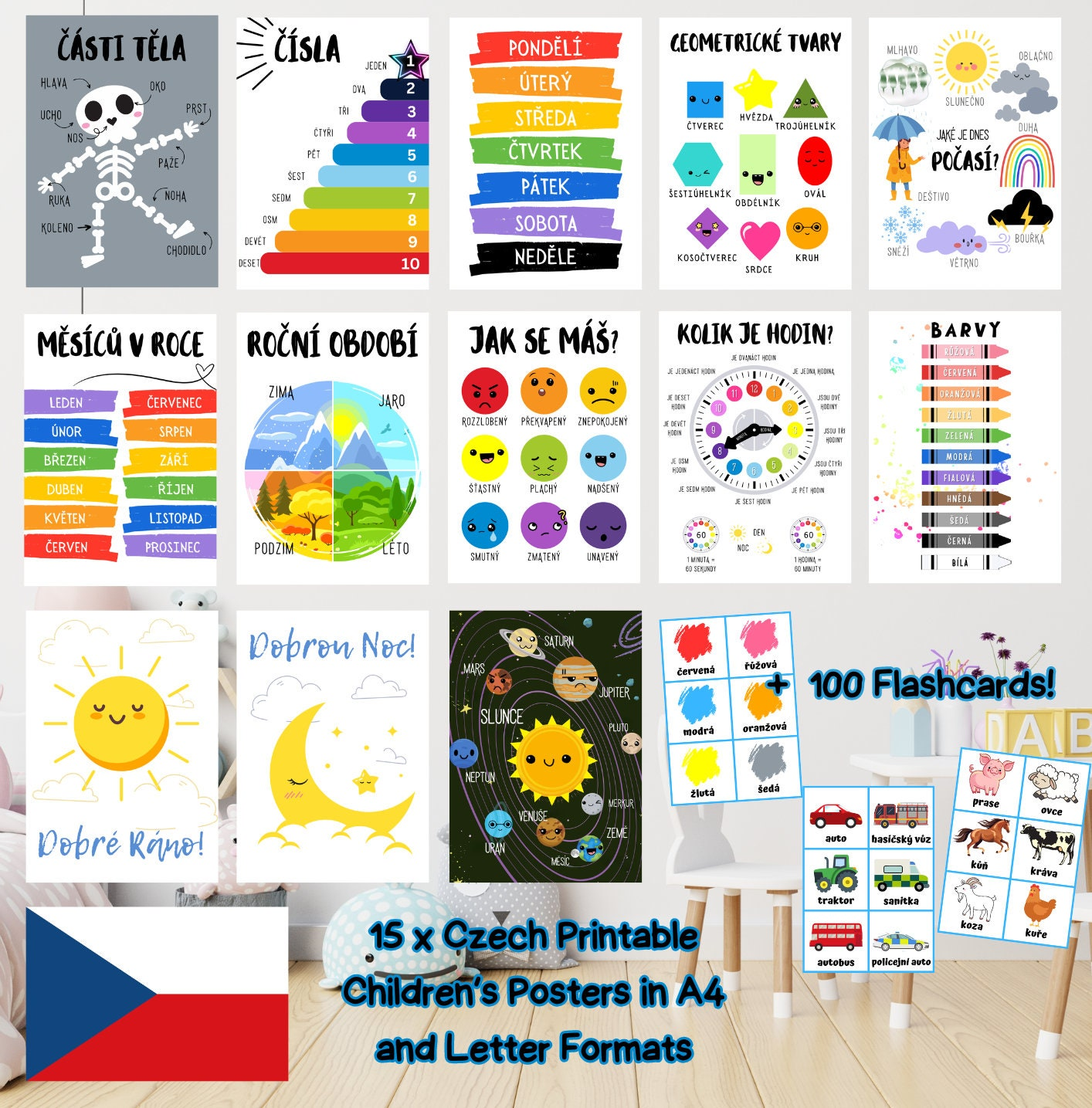 Čeština Czech Language Classroom Posters