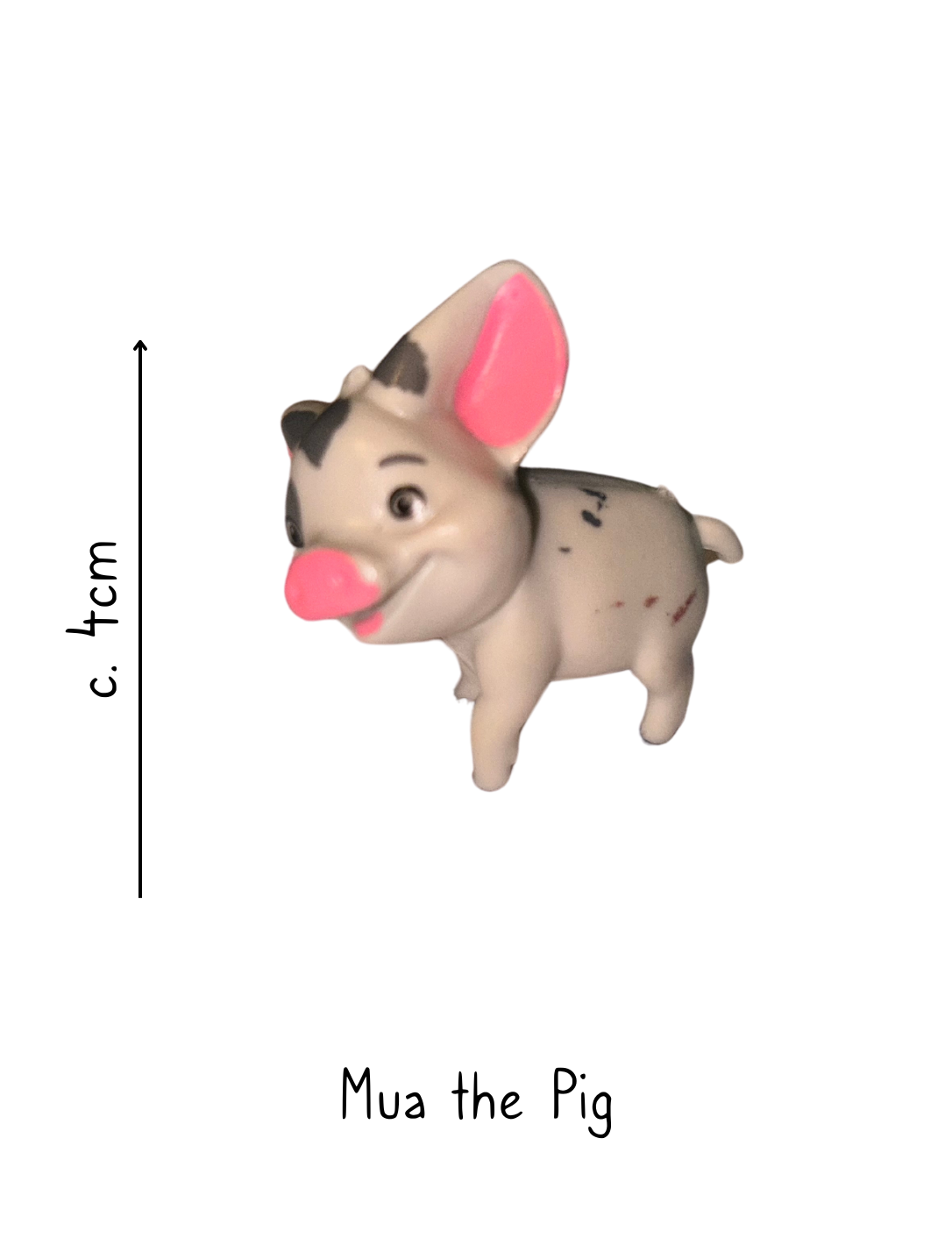 Mua the Pig from Disney Moana