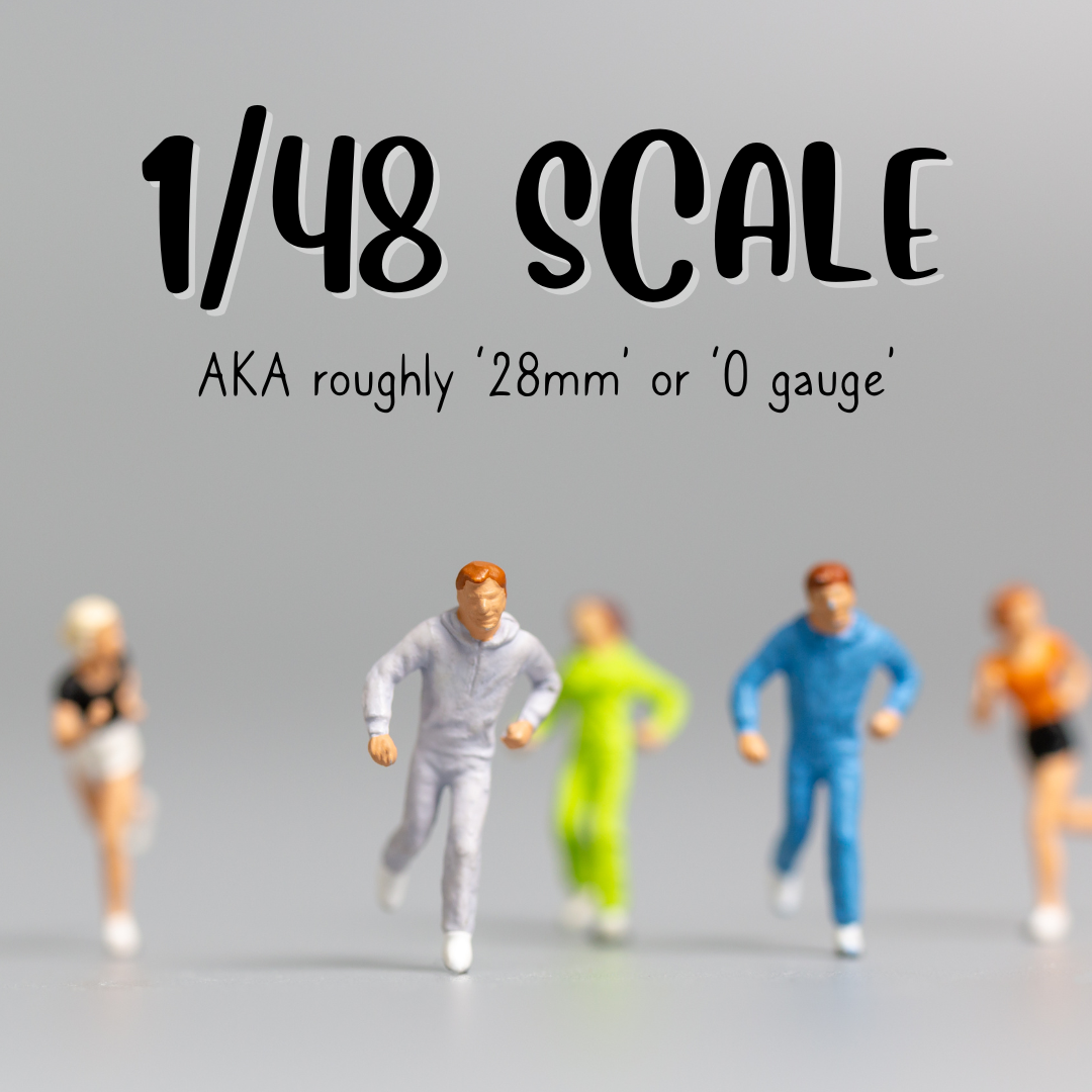 1/48 Scale (aka roughly '28mm' or 'O gauge')