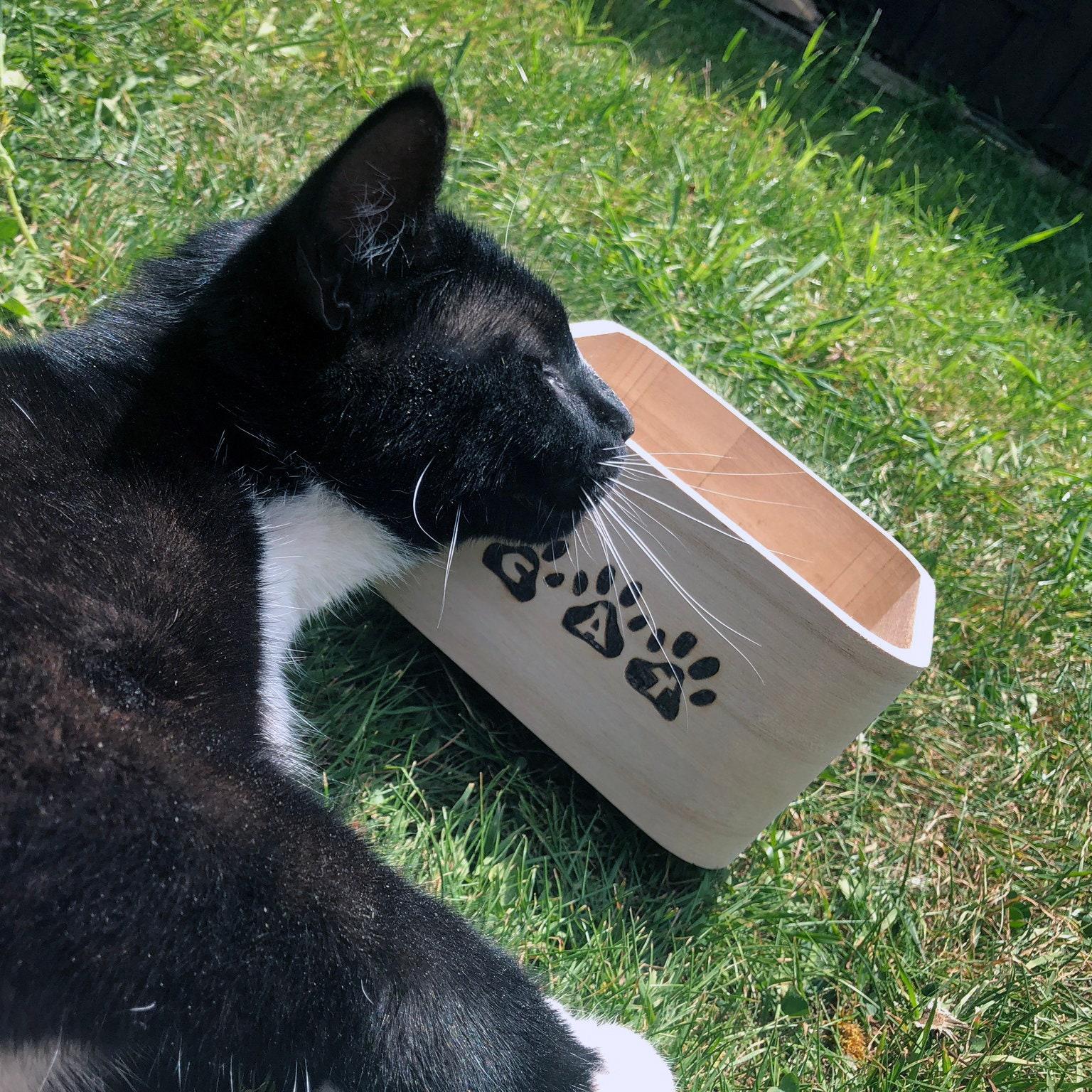 cat treat storage box