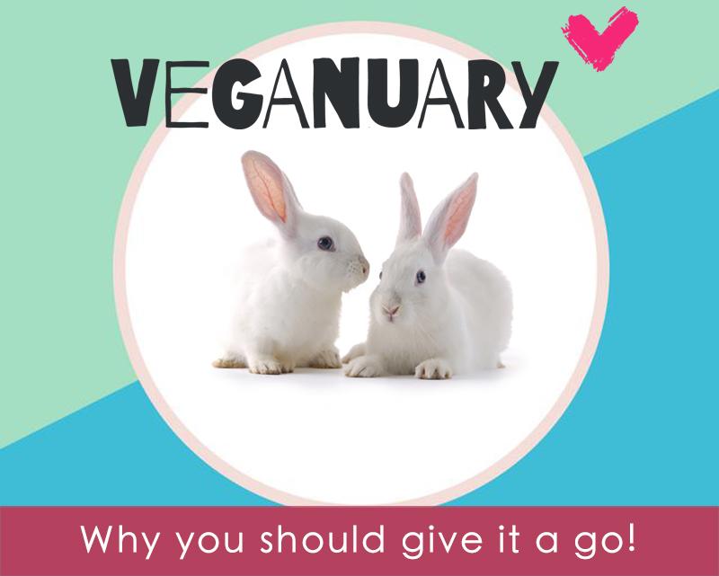 Why I think you should give Veganuary a go!