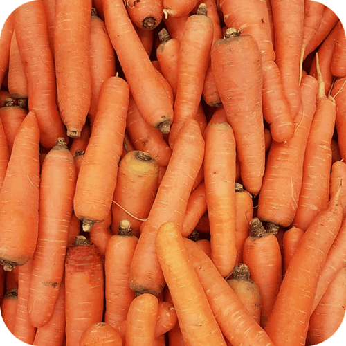 Vitamin A