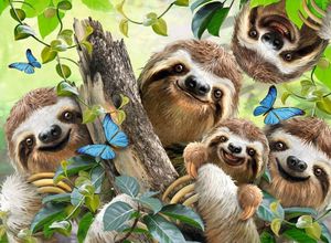 View 2 Ravensburger Sloth Selfie 500 Piece Jigsaw Puzzle 14790