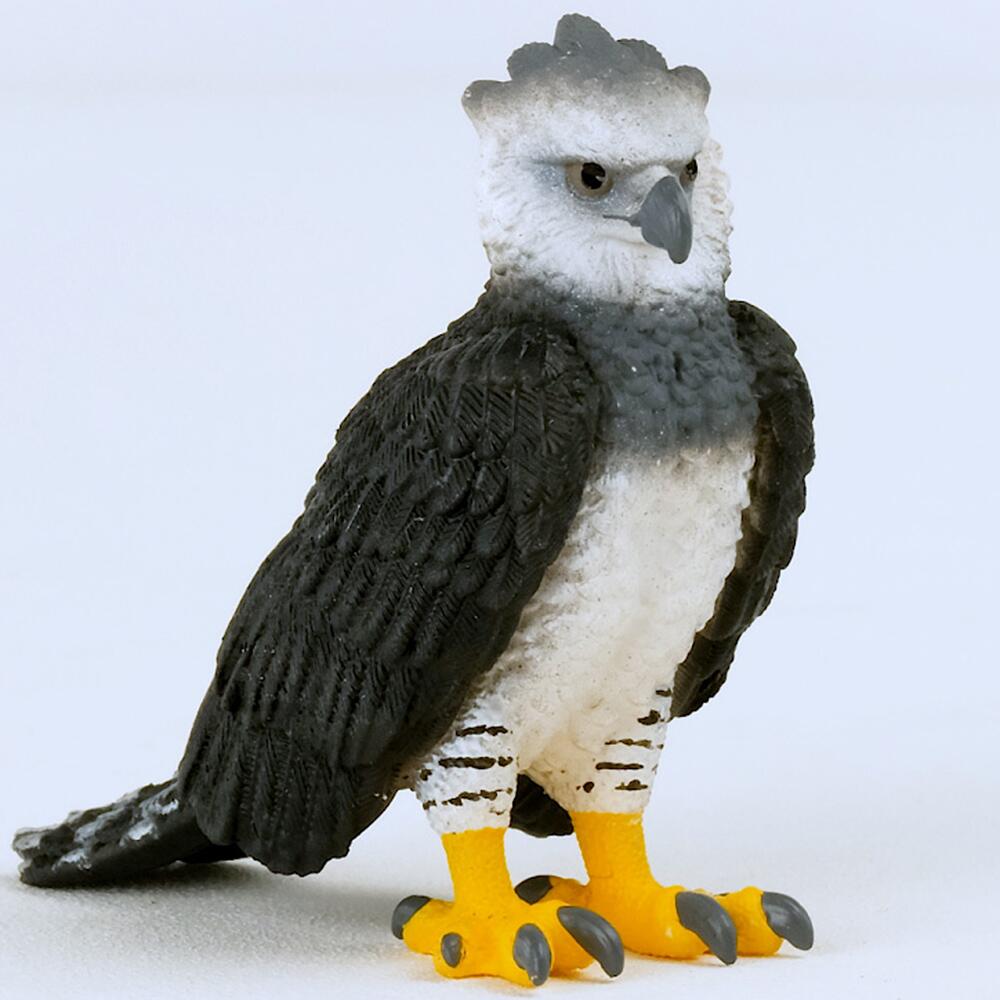 Buy SchleichWild Life Realistic Harpy Eagle Figurine - Authentic and Highly  Detailed Rainforest Jungle Animal Toy, Durable for Education and Fun Play,  Perfect for Boys and Girls, Ages 3+ Online at desertcartINDIA