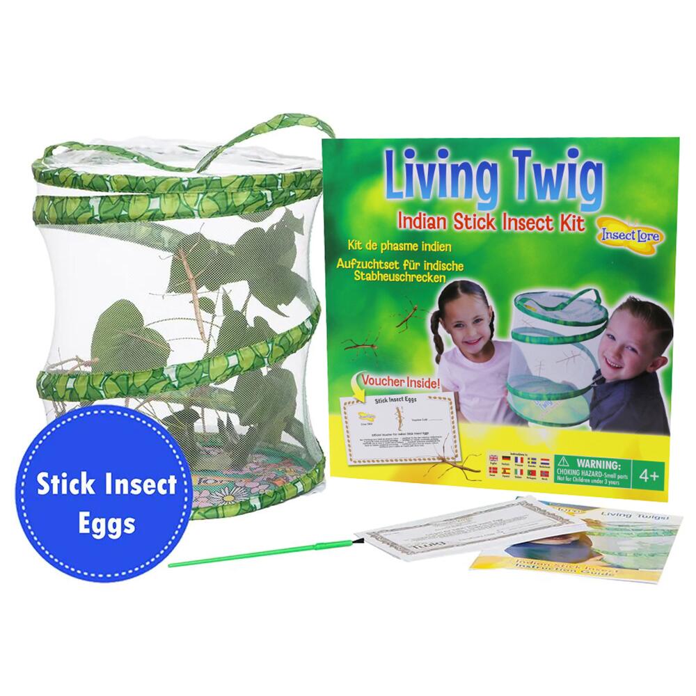 Insect Lore Living Twig Indian Stick Insect Kit 01060