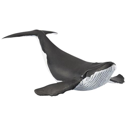 PAPO Marine Life Whale CALF Figure 56035
