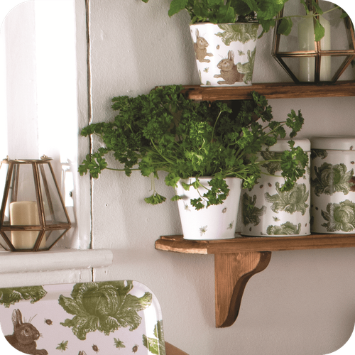 Plant Pots and Gardening Equipment
