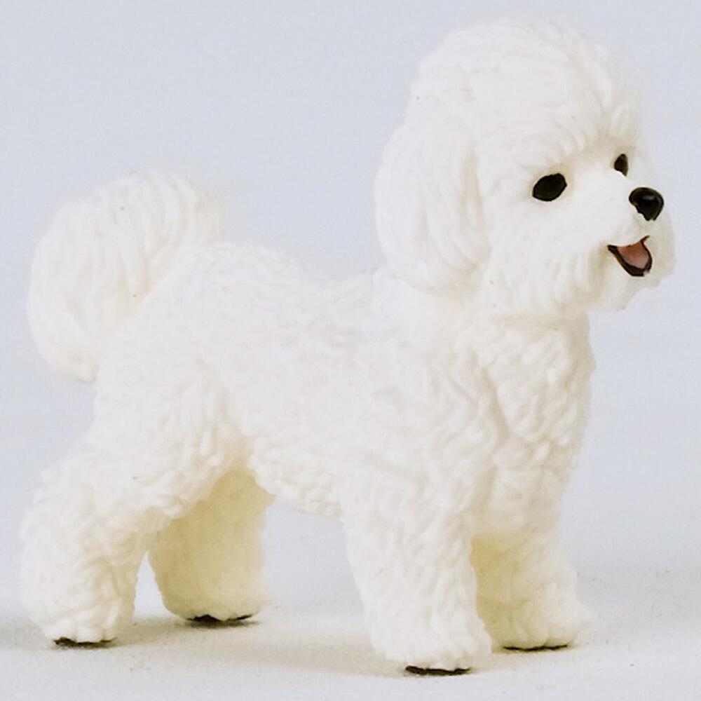 Toy best sale bichon frise