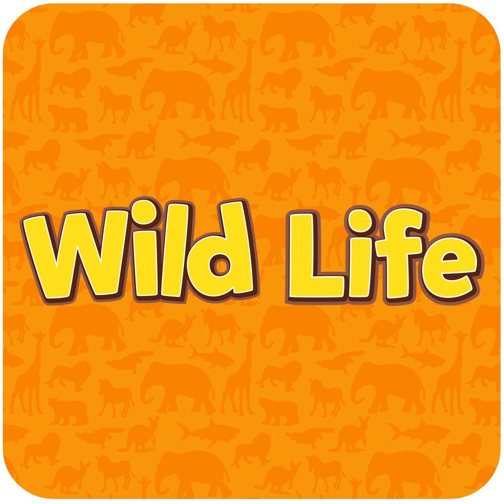 Schleich 14321 Wild Life- Cucciolo di giraffa