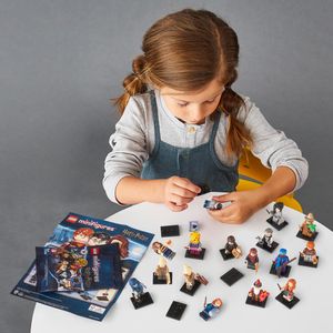 LEGO Harry Potter Minifigure Blind Bag Series 2