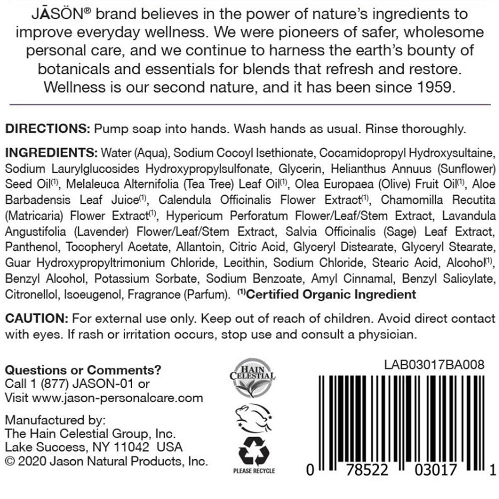 View 2 Jason Purifying Tea Tree Hand Soap 473ml Revives and Nourishes Skin K0144