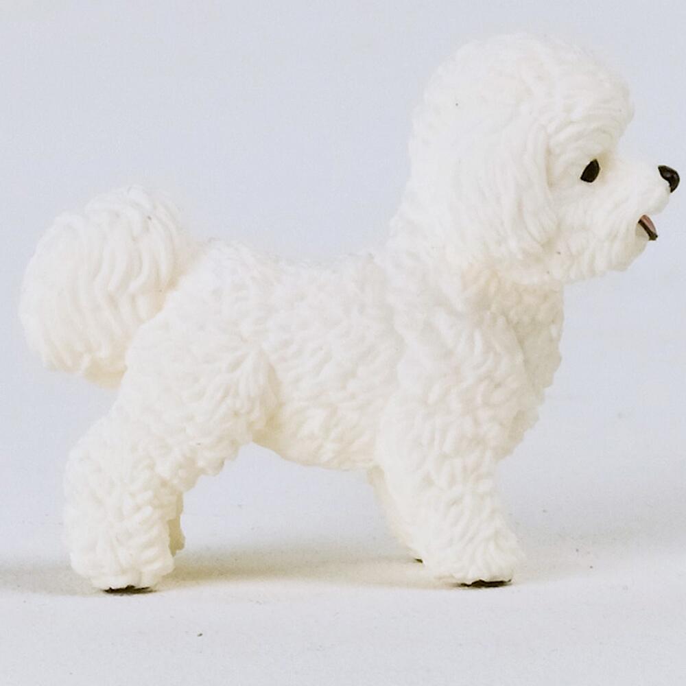 Toy bichon 2025