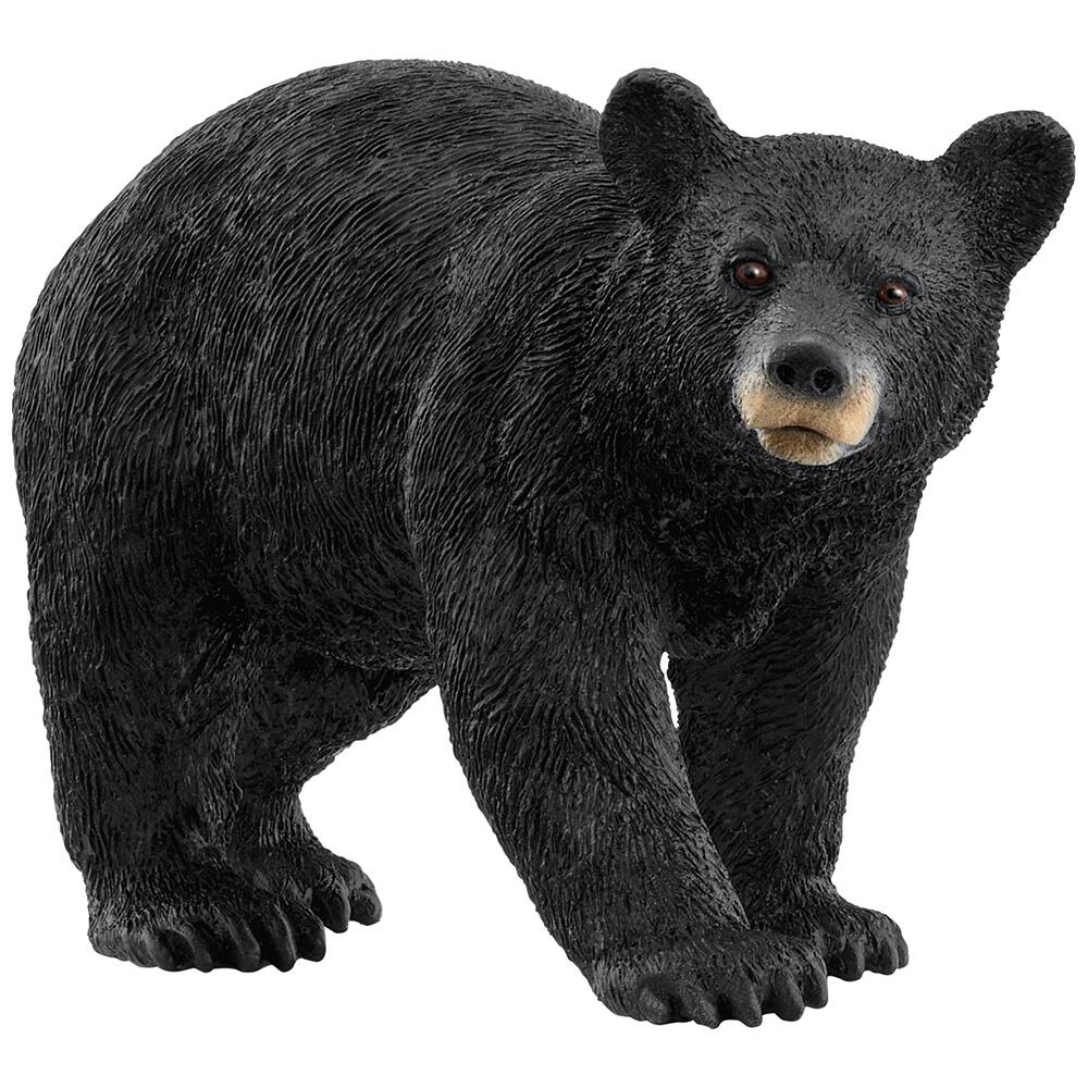 Schleich Wild Life American Black Bear Collectable Figure 14869
