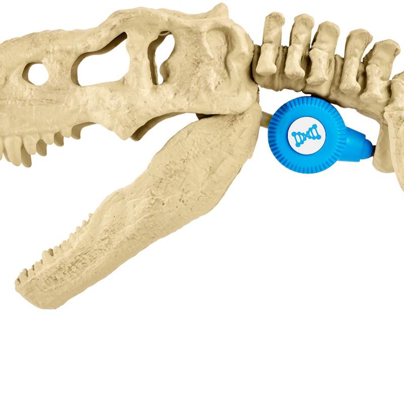 Playeontology Dickysauraus Silicone with Suction Cup main image 0
