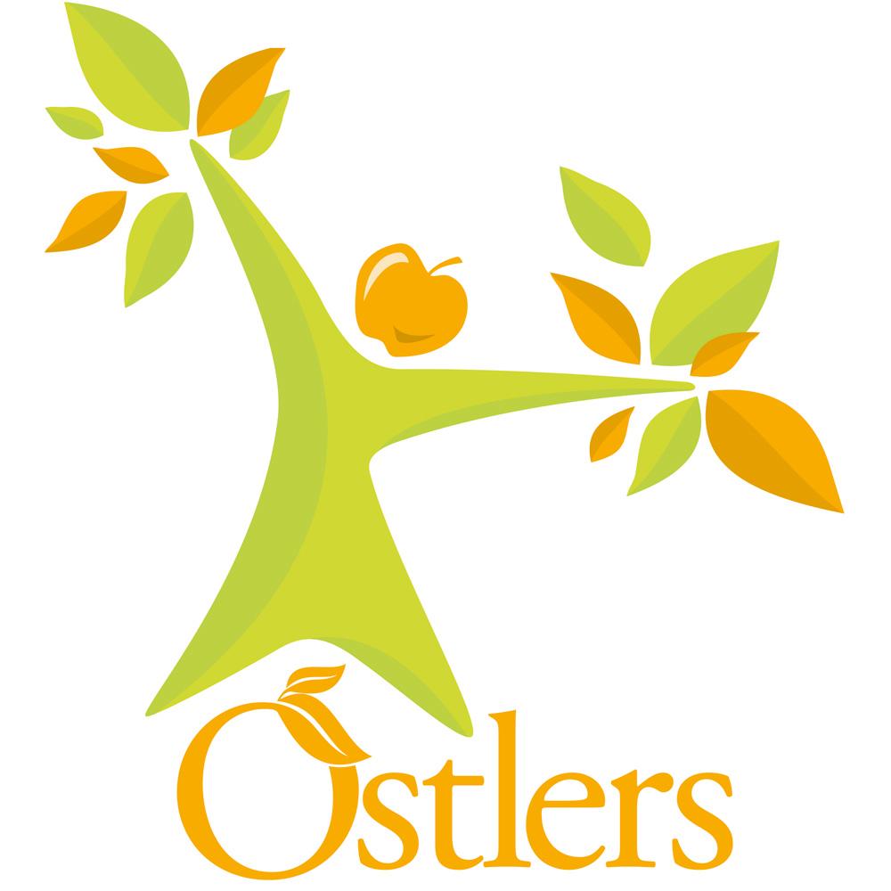 View 5 OSTLERS Cloudy Cider Vinegar with "The Mother" 1 Litre 609722886154
