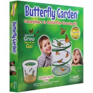 Insect Lore Live Butterfly Garden Hatching Kit