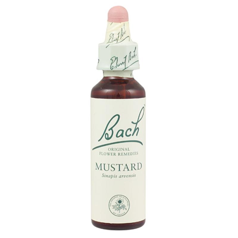 Mustard Bach Flower Remedy 20ml