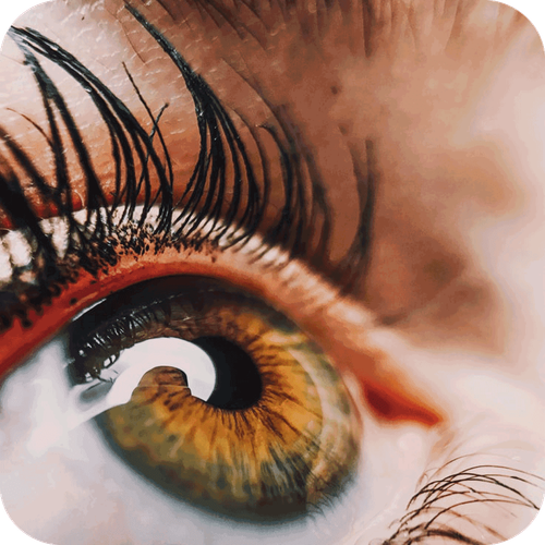 Eyelash Styling