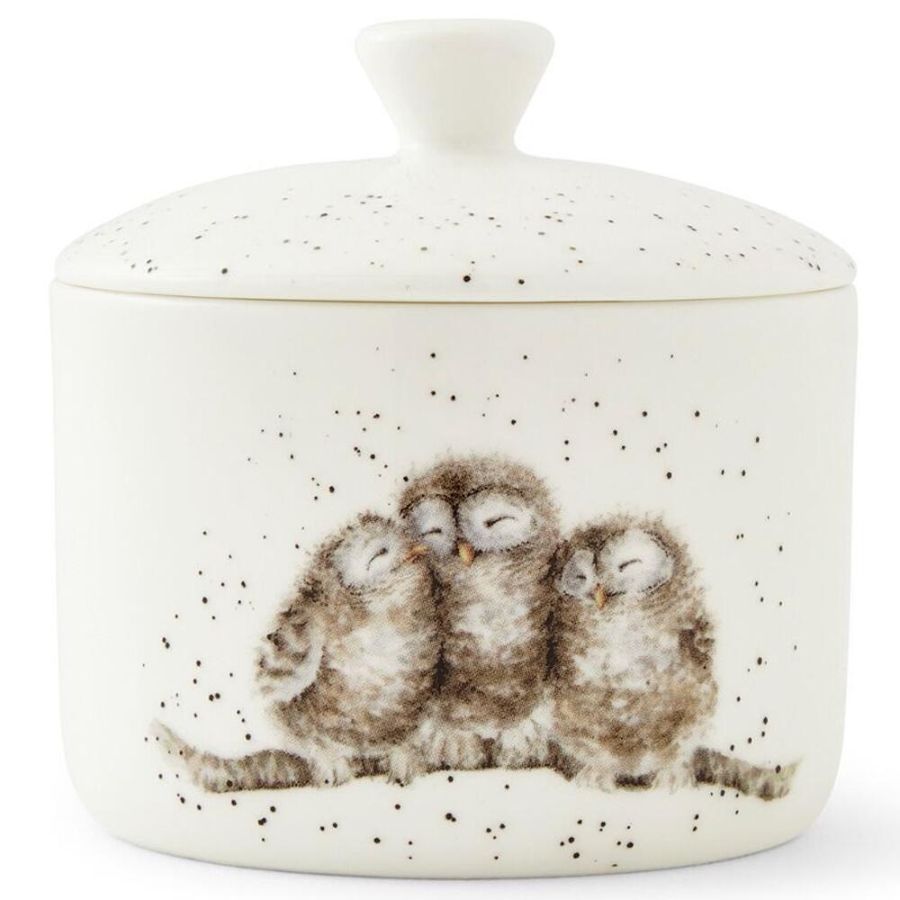 Royal Worcester Wrendale Designs Owls Small Lidded Storage Jar Fine Bone China WN4387-XL