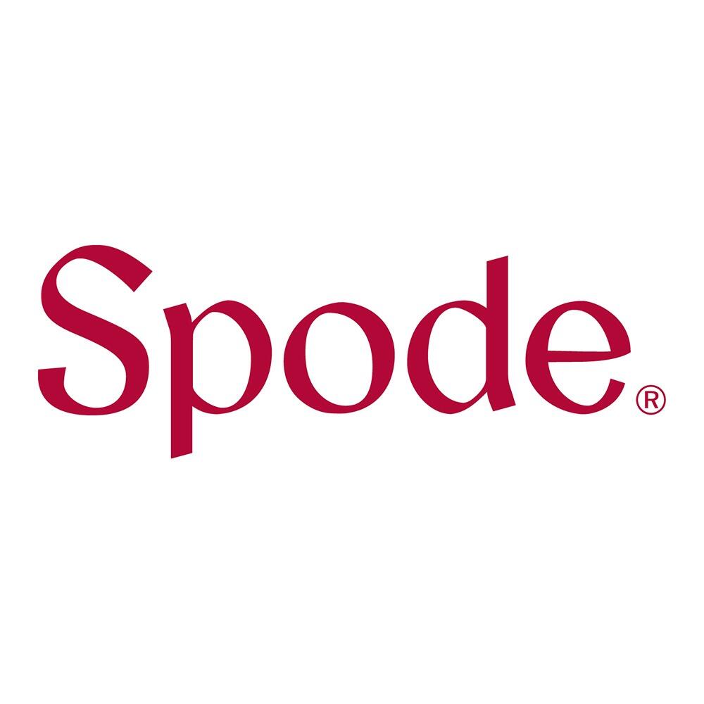 Spode Brand Spode Christmas Tree Tableware Placemats & Coasters