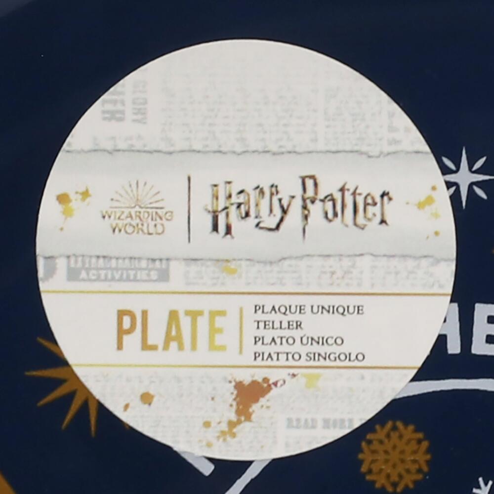 Harry Potter Paper Plates 23 cm. FSC
