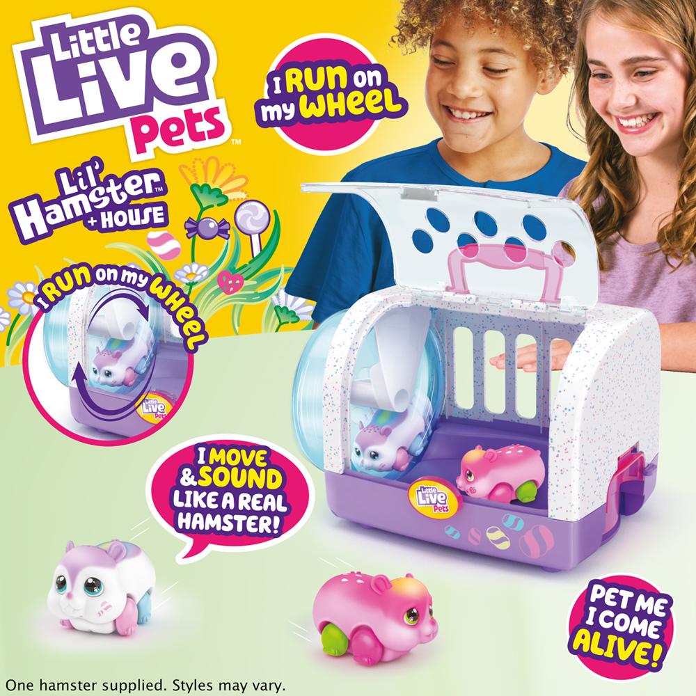 Little Live Pets Lil' Hamster S1 Hamster & House Playset – POPMELLO,  Multicolore (26371) : : Jeux et Jouets