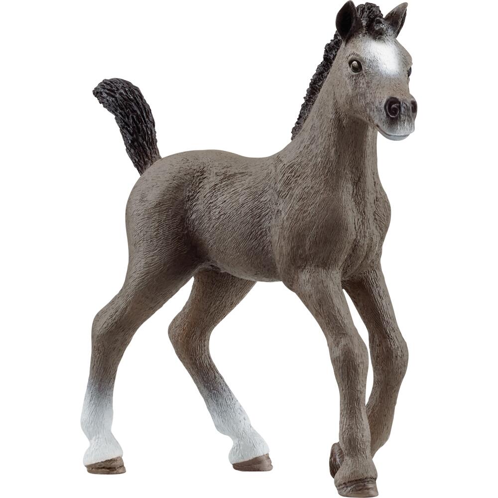 Schleich Horse Club Cheval de Selle Francais Foal Animal Figure Toy for Ages 3+ 13957