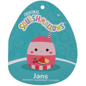 View 4 Squishmallows Jans The Fruit Punch 16 Inch Soft Toy SQCR04210