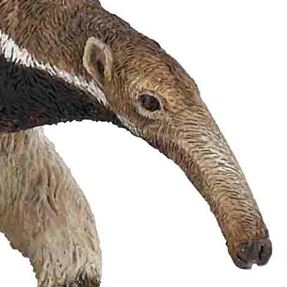 Papo Figurina Formichiere - 50152 - Animale Selvatico In Vinile - Giocattolo Per Bambini, Realistico E Resistente