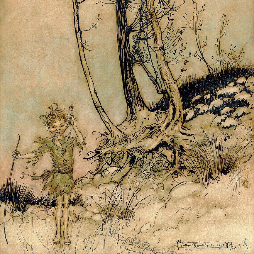 Puck!! (1909) by Arthur Rackham A Midsummer Night's Dream wall art ...