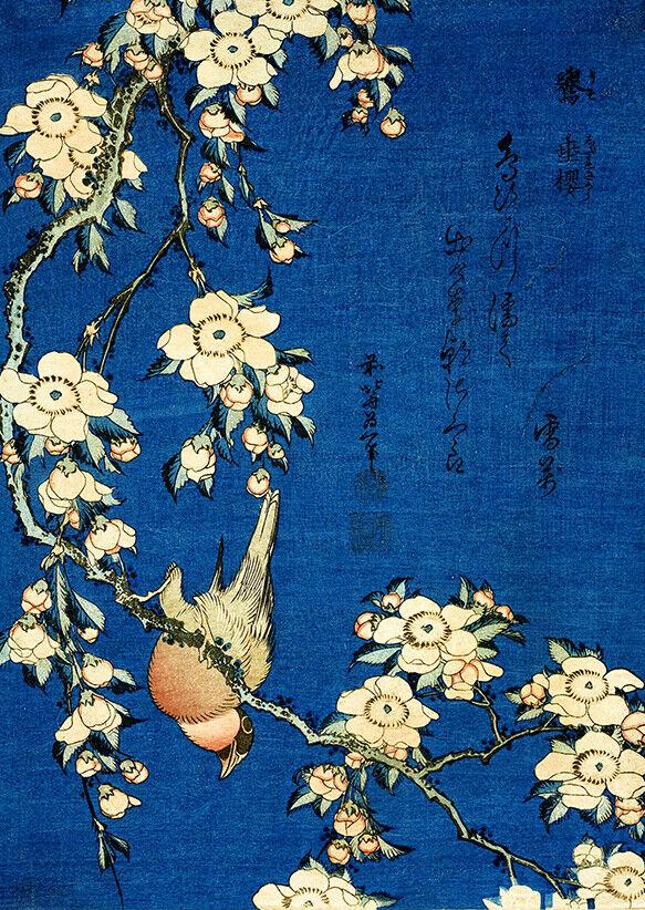 Stampa D'Arte Giapponese Wee Blue Coo – Alberi In Park, Stile Woodblock, 30x41 Cm Con Bordo, Carta Di Lusso