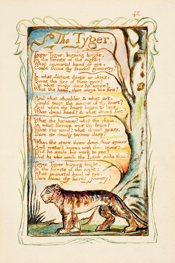 Tyger The Tyger William Blake tiger wall art poster print