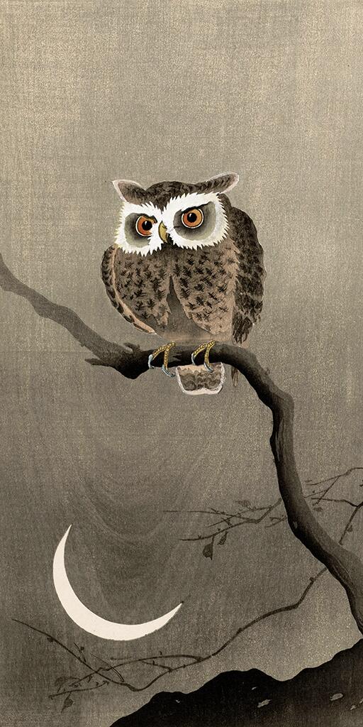 Vintage Japanese Long-eared owl tree branch Ohara Koson wall