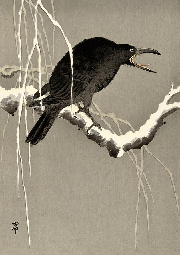 B4原画 crow Vintage Japanese Crow on snowy tree branch by Ohara Koson wall art