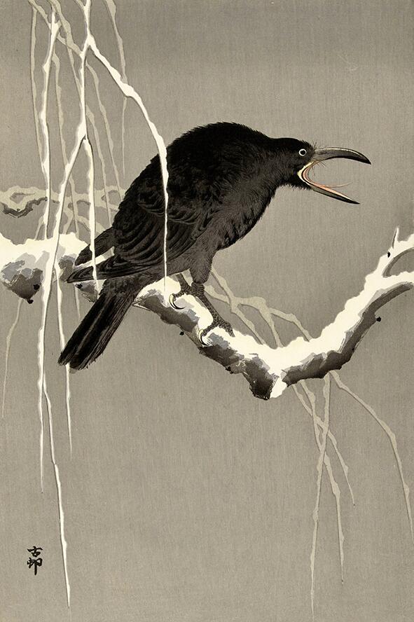 Vintage Japanese Crow on snowy tree branch by Ohara Koson wall art