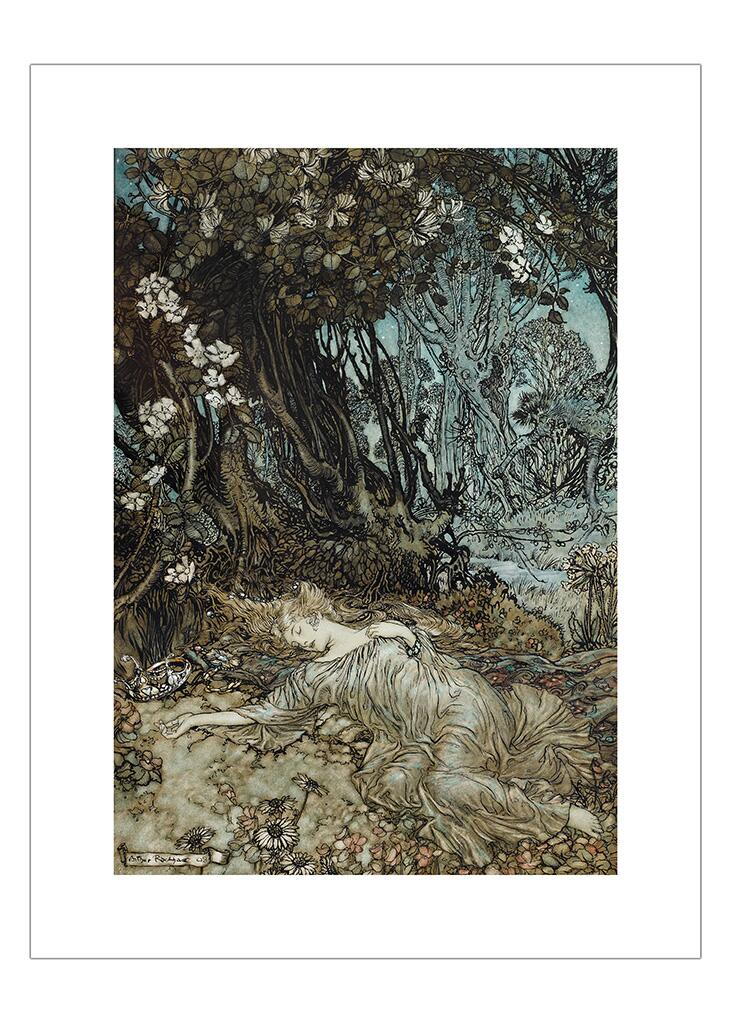 Titania lying asleep A Midsummer Night's Dream (1908) Arthur Rackham ...