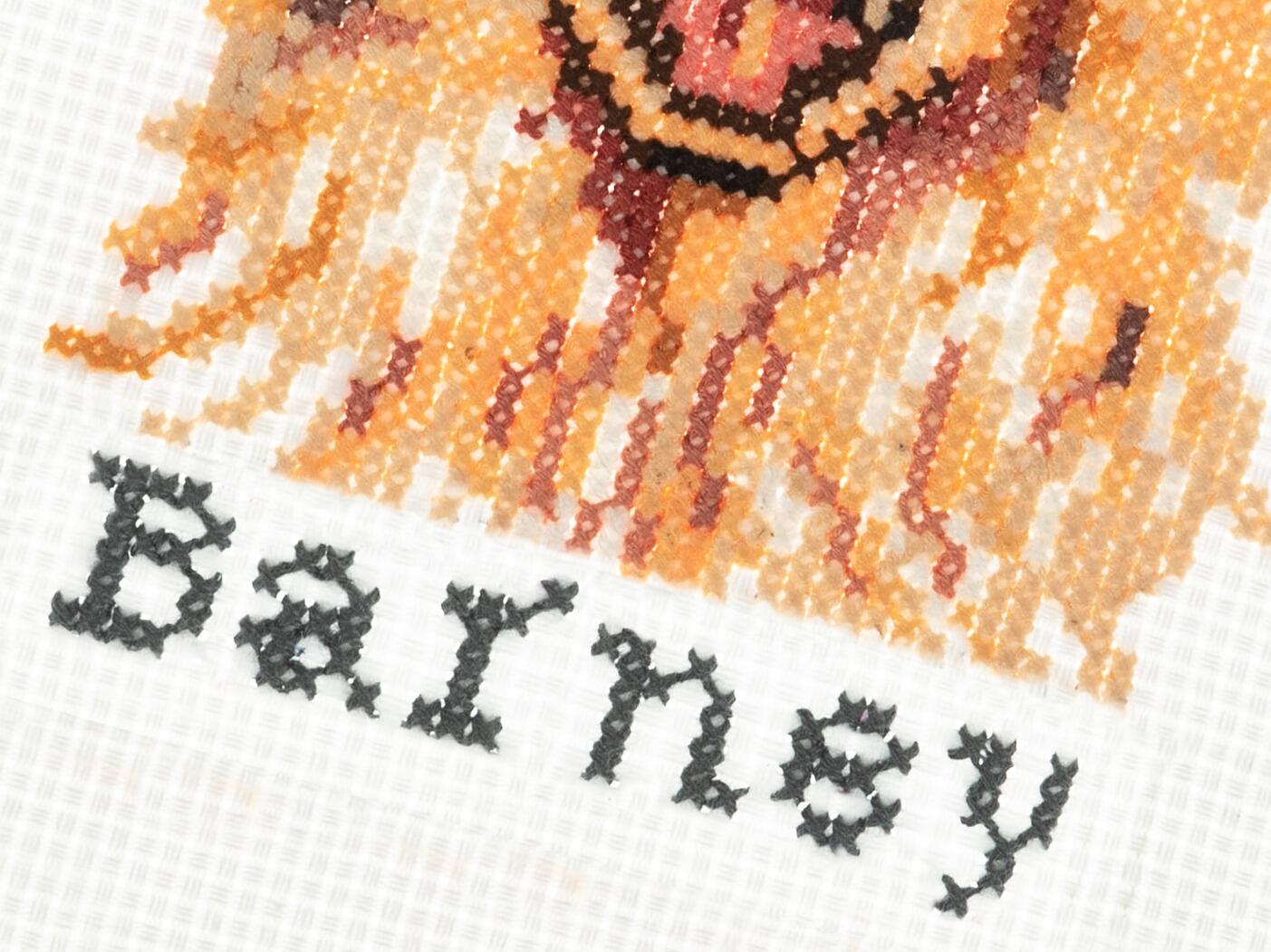 Pegasus Originals Golden Retriever Cross Stitch Kit - Complete Counted Cross Stitch Set