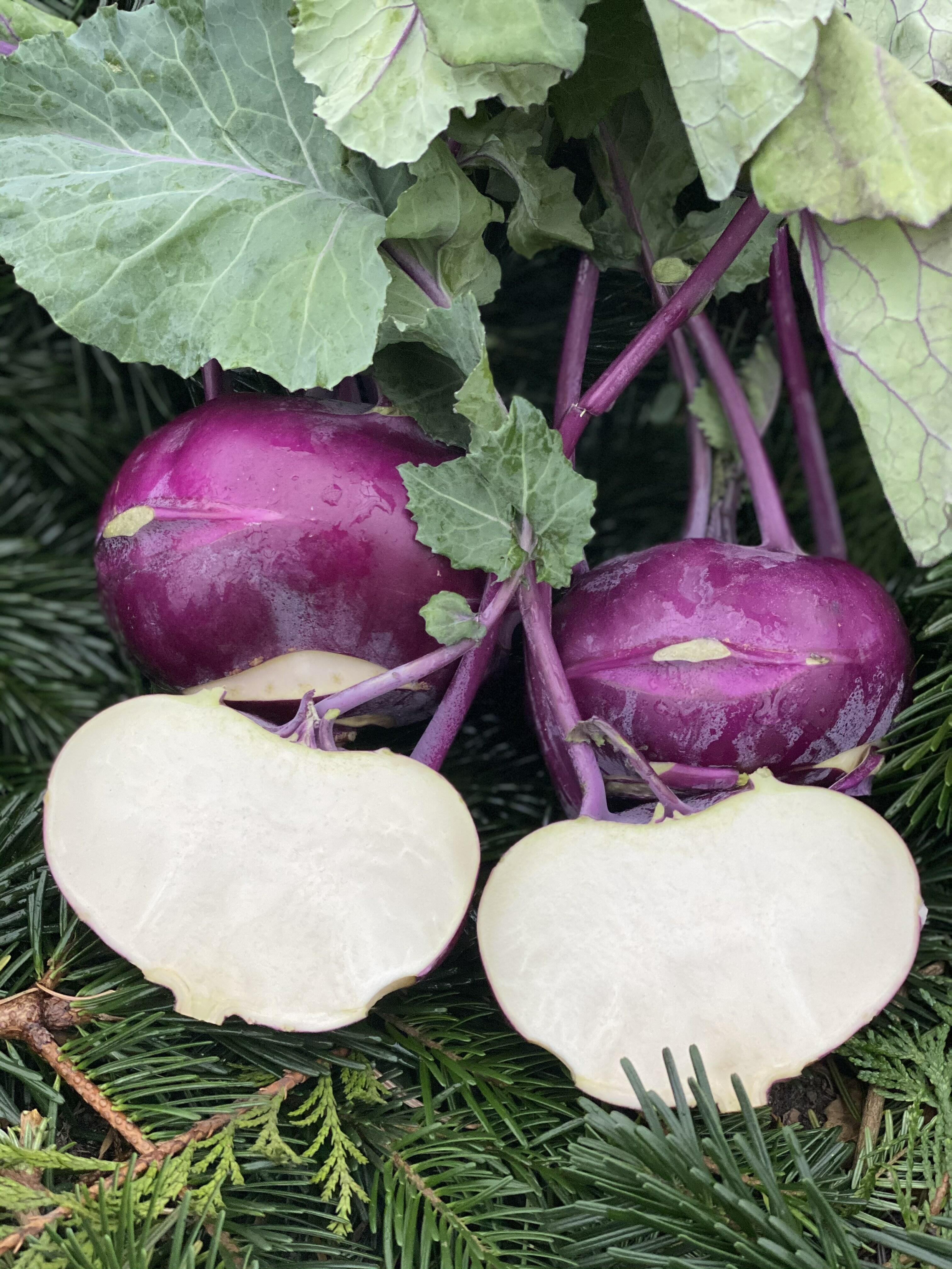 Organic Kohlrabi Trinity Farm