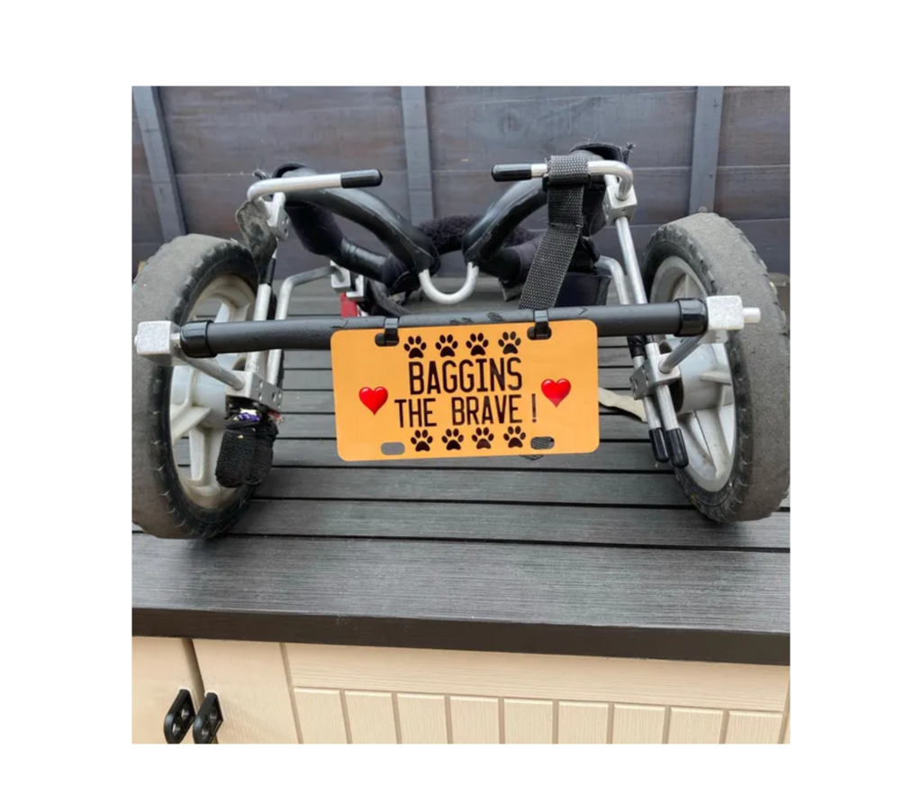 Personalised Dog Wheelchair Name Plate: A Touch of Identity for Your Furry Friend