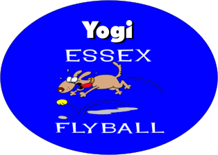 Flyball and Stuff